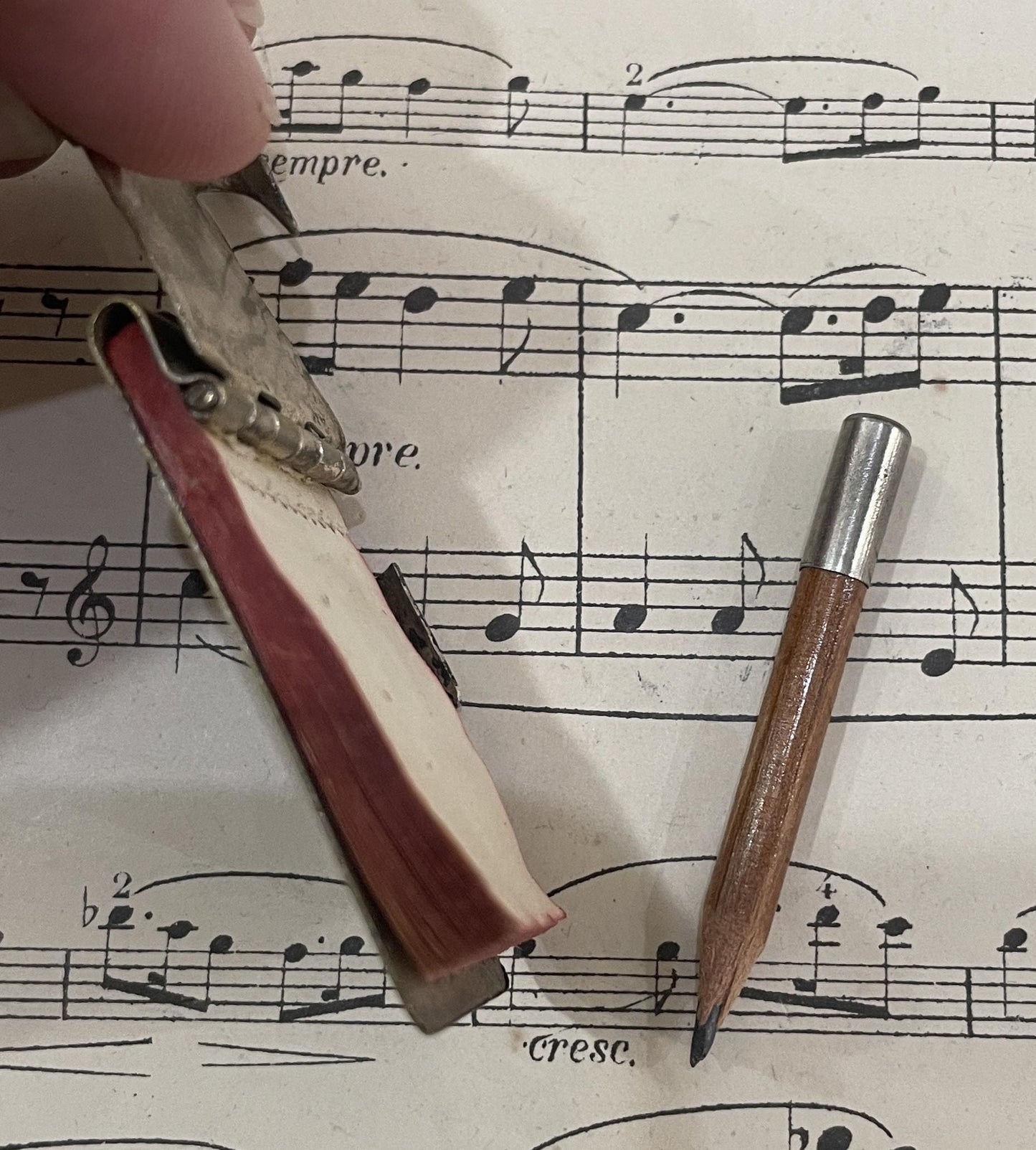 Rare Antique French Art Nouveau Dragonfly Dance Card c1910