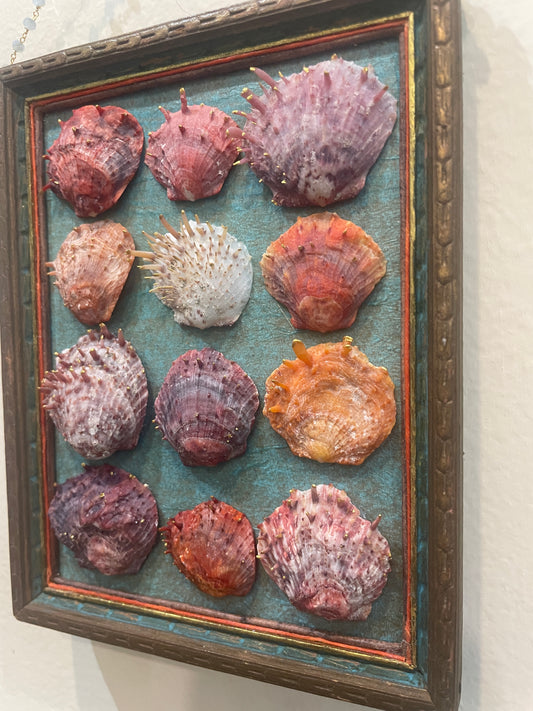 Shell Assemblage by Nancy Nelson