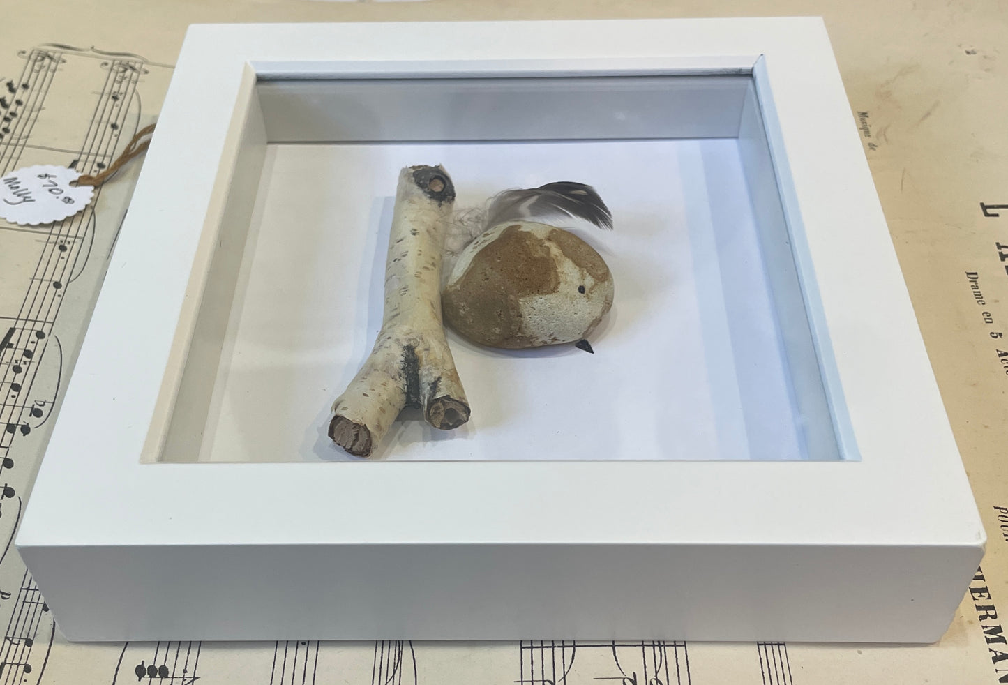 Molly by Carol Austin