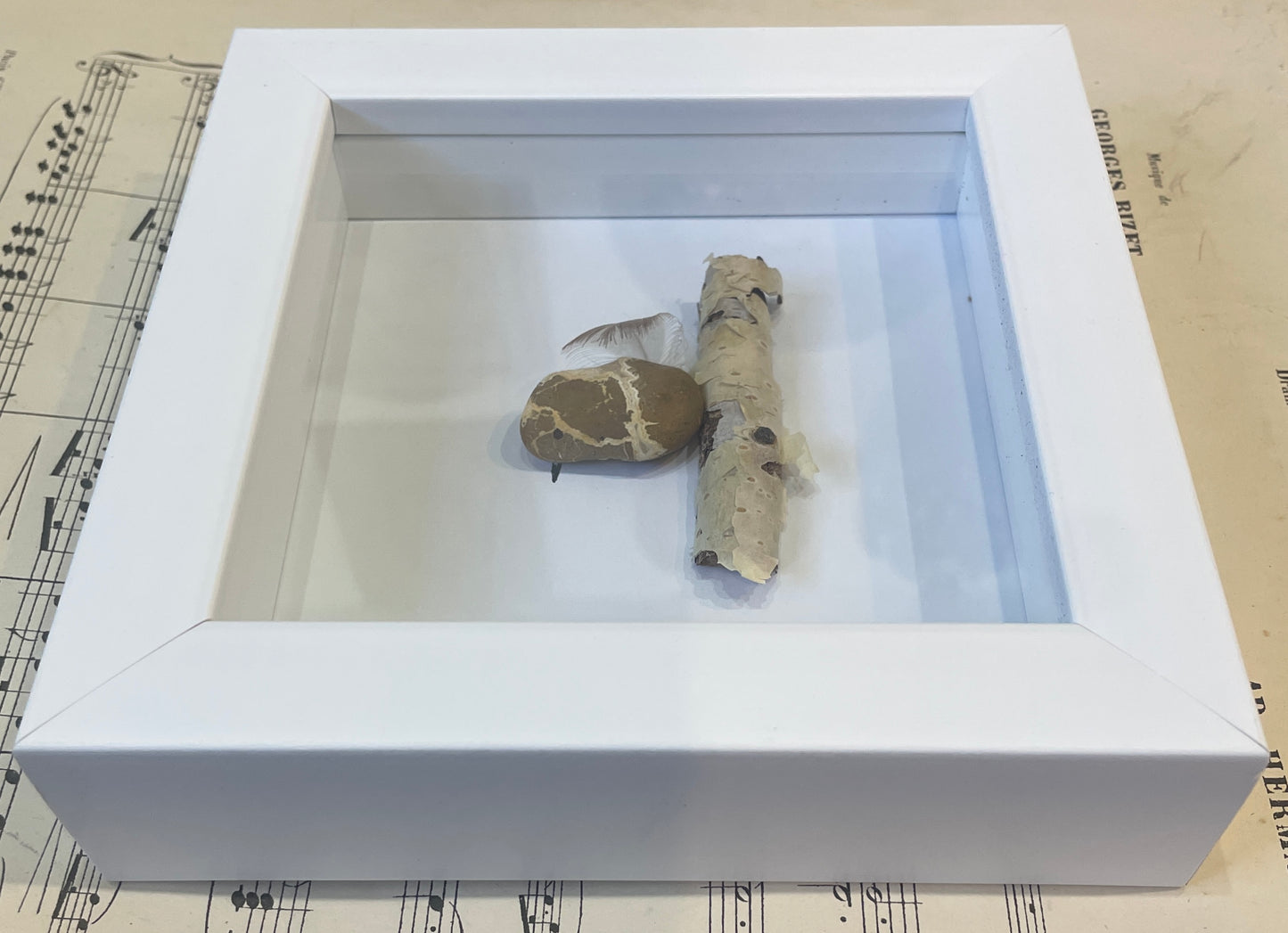 Woodrow by Carol Austin