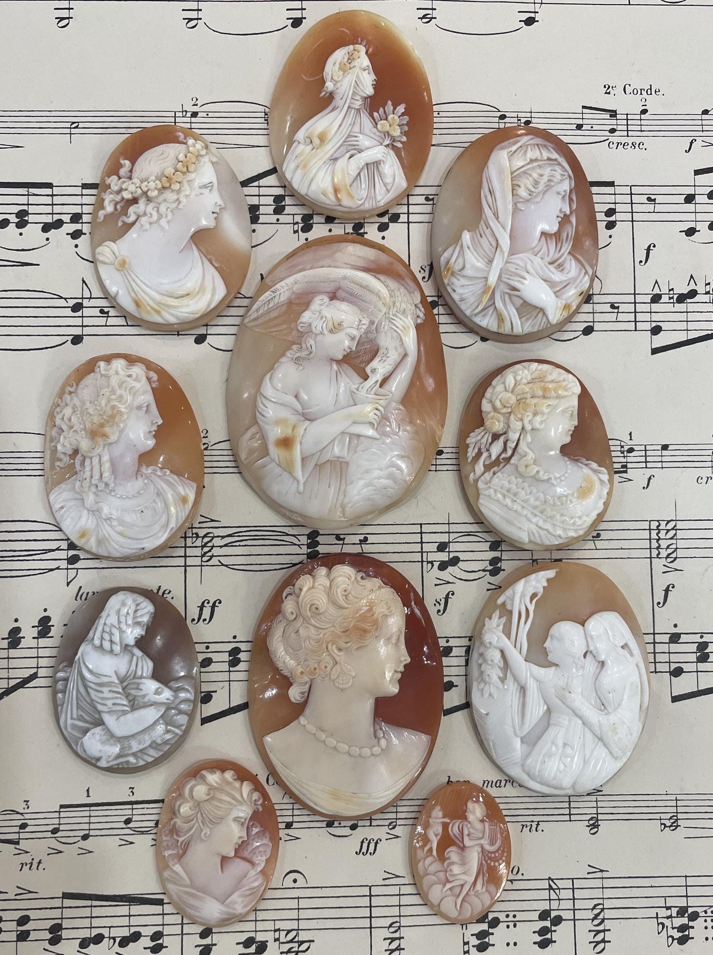 Rare Antique Italian Carved Shell Cameo Mythology Roman Goddess c1900