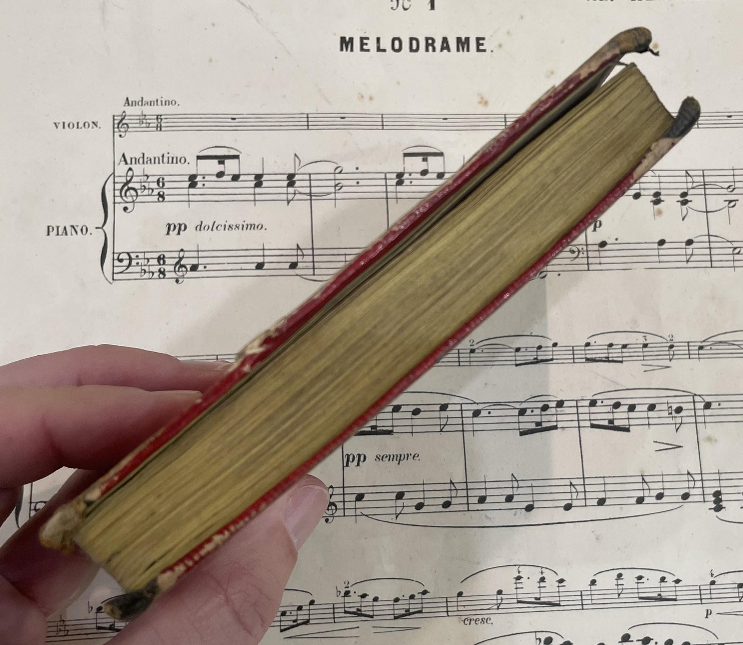 Rare Antique French Book Petits Voyages Pittoresques 15 engravings c1813