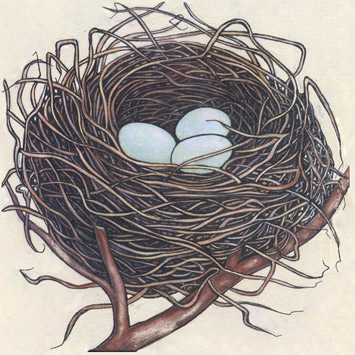 The Nest [1927]