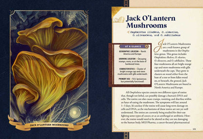 Little Book of Mushrooms by Alex Dorr: Hardcover; 256 pages / English