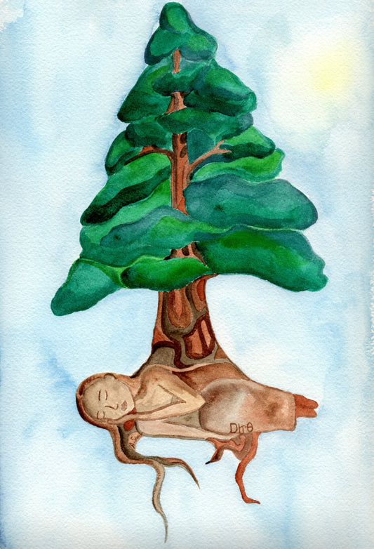 Cedar (Atsina) - Original Framed Watercolor