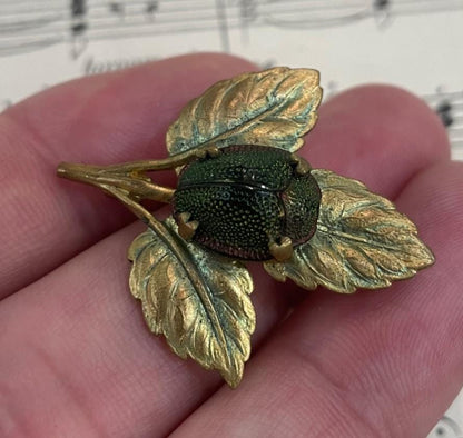 Rare Antique English Art Nouveau Real Scarab Brooch Pin Leaves c1900