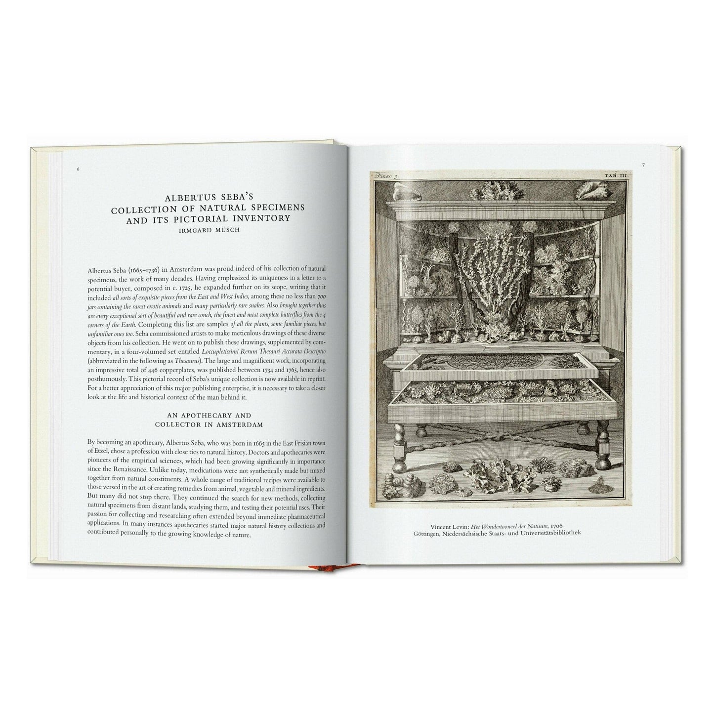 Seba. Cabinet of Natural Curiosities. 45th Ed. (German, French, English)