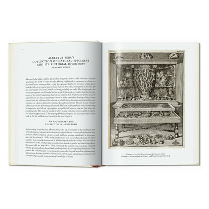 Seba. Cabinet of Natural Curiosities. 45th Ed. (German, French, English)