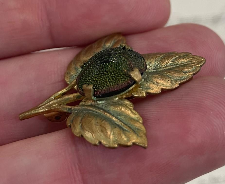 Rare Antique English Art Nouveau Real Scarab Brooch Pin Leaves c1900