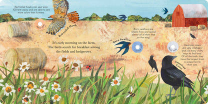 Songs Of The Birds