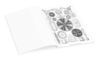 Ernst Haeckel: Art Forms in Nature Coloring Book