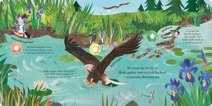 Songs Of The Birds