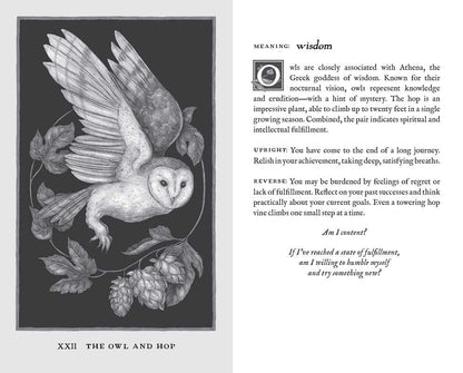 Woodland Wardens by Jessica  Roux: Mixed Media; 52 pages / English