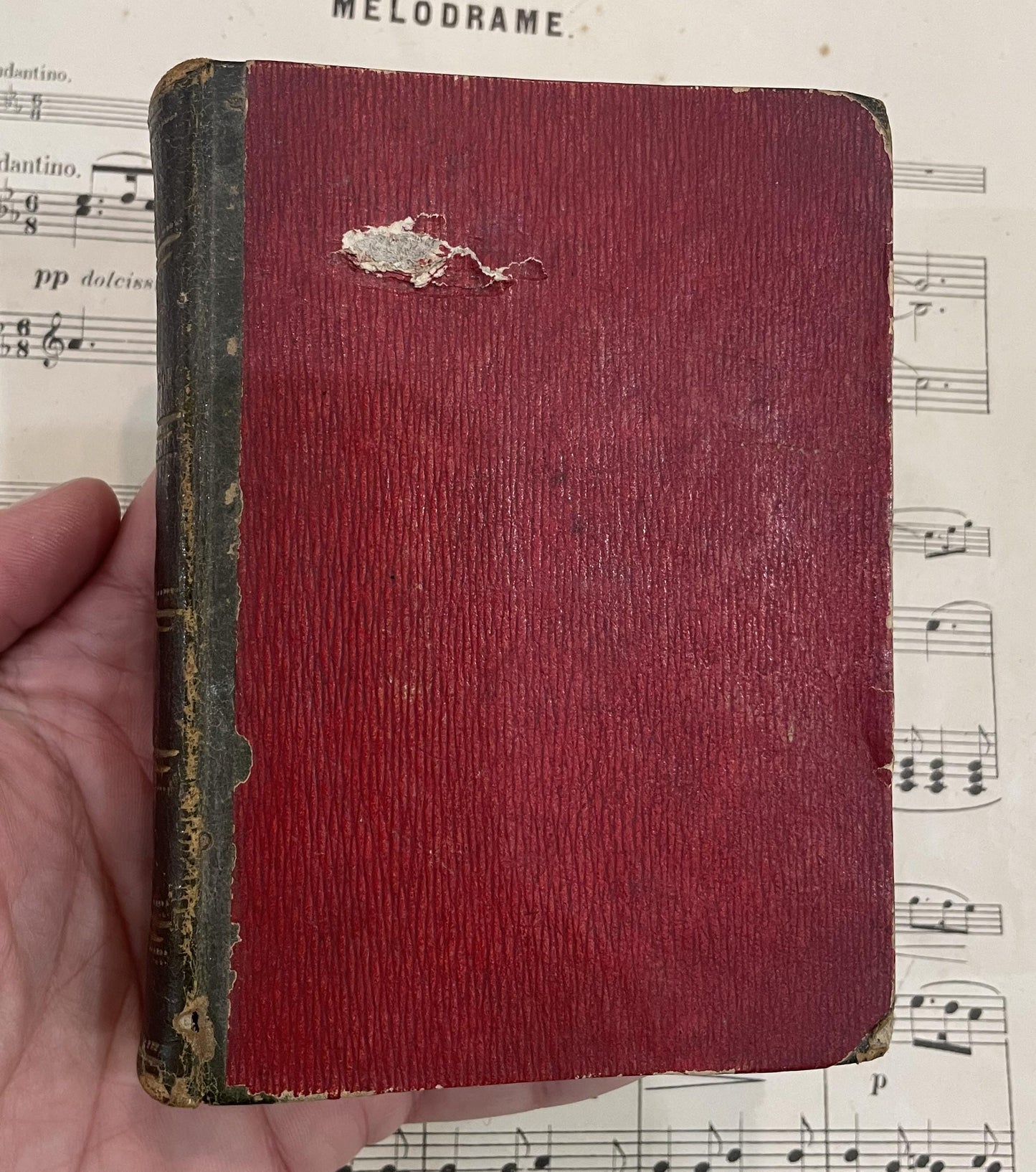 Rare Antique French Book Petits Voyages Pittoresques 15 engravings c1813