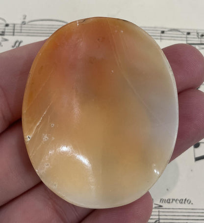 Rare Large Antique Italian Carved Shell Cameo Mythology Hebe Eagle Zeus c1900