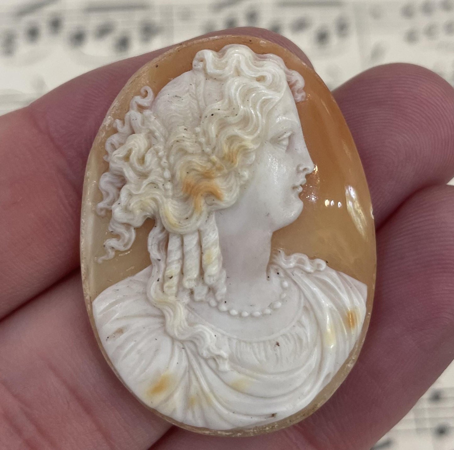 Rare Antique Italian Carved Shell Cameo Mythology Roman Goddess c1900