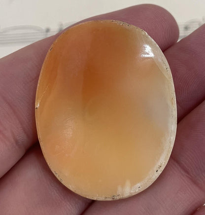 Rare Antique Italian Carved Shell Cameo Mythology Roman Goddess c1900