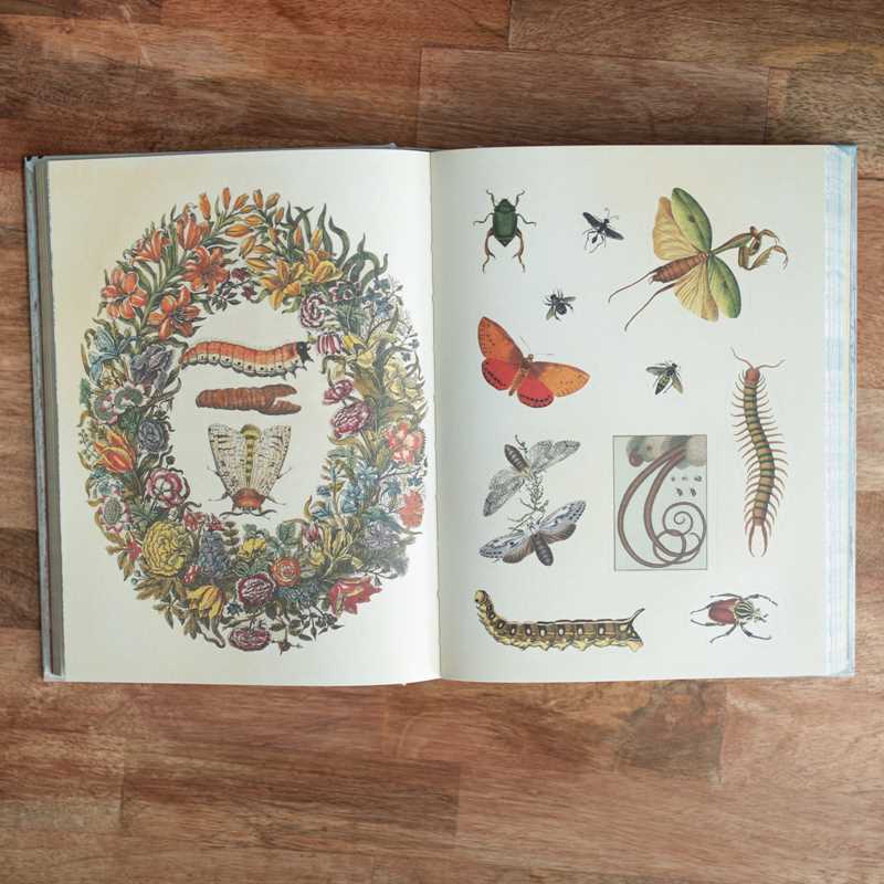 Cabinet of Curiosities by Smithsonian  Institution: Hardcover; 304 pages / English