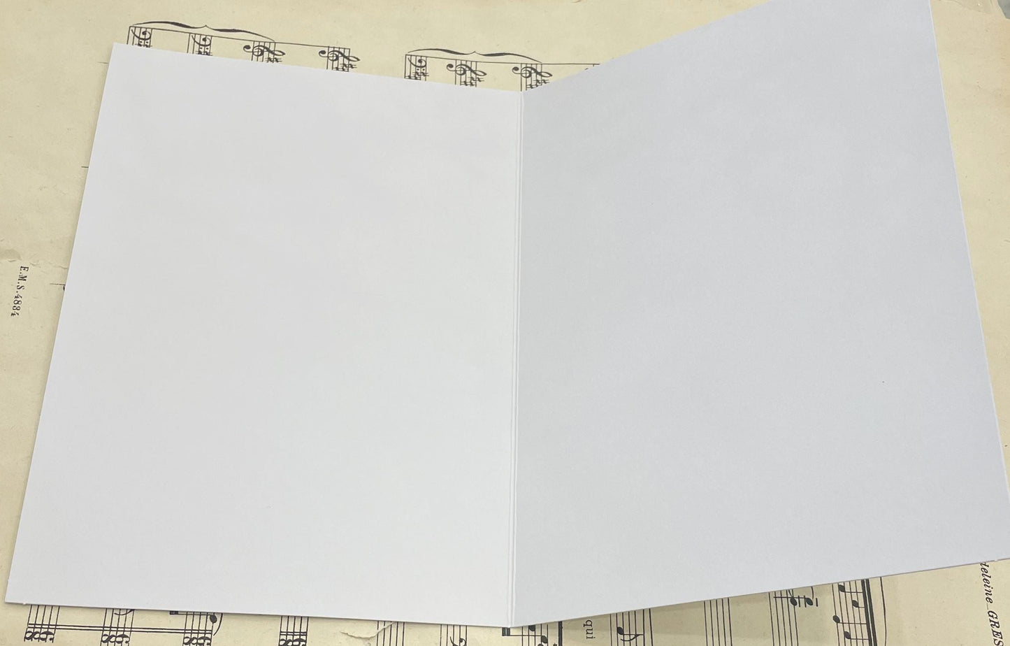 Lot of 5 French Antique Bird Engravings Greeting Cards 5x7 Blank with Envelope