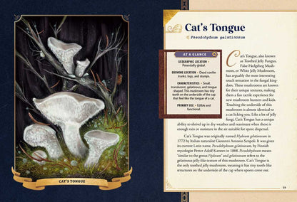 Little Book of Mushrooms by Alex Dorr: Hardcover; 256 pages / English