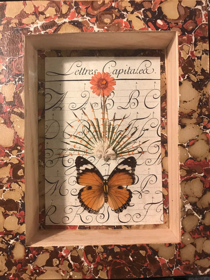 Capital Letters flora and fauna embroidery in shadow box