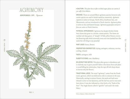 Complete Folk Herbal by Rebecca Beyer: Hardcover; 384 pages / English