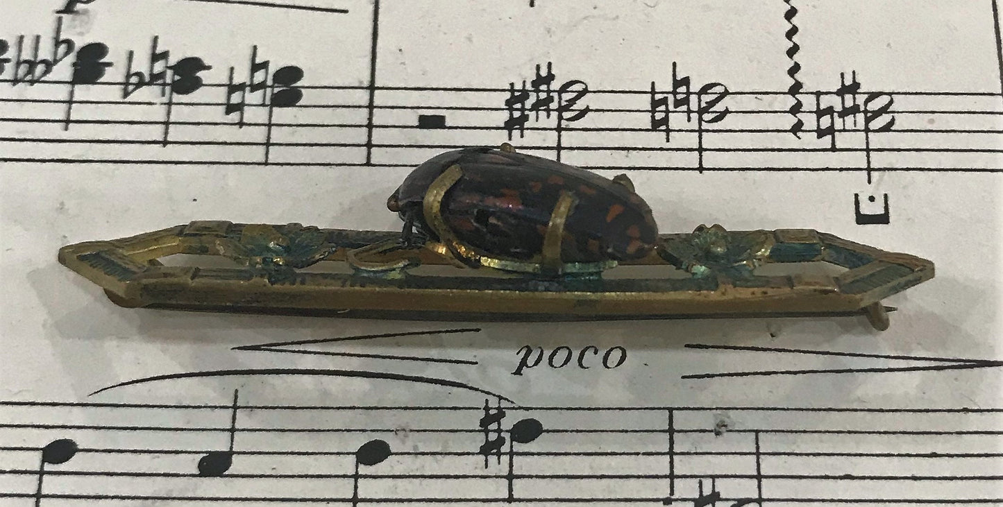Rare Antique English Art Nouveau Real Scarab Brooch Pin c1900