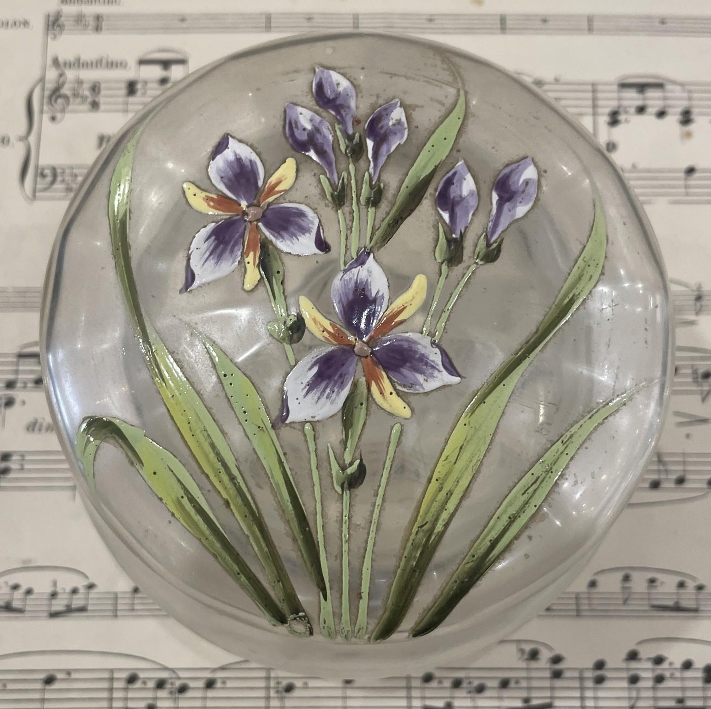 Large Antique French Gilt Brass Glass Hand Painted Enameled Box Flowers c1900