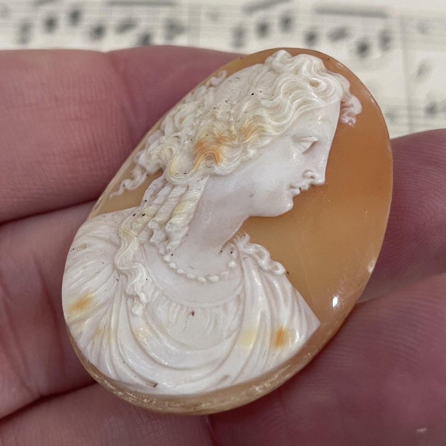 Rare Antique Italian Carved Shell Cameo Mythology Roman Goddess c1900
