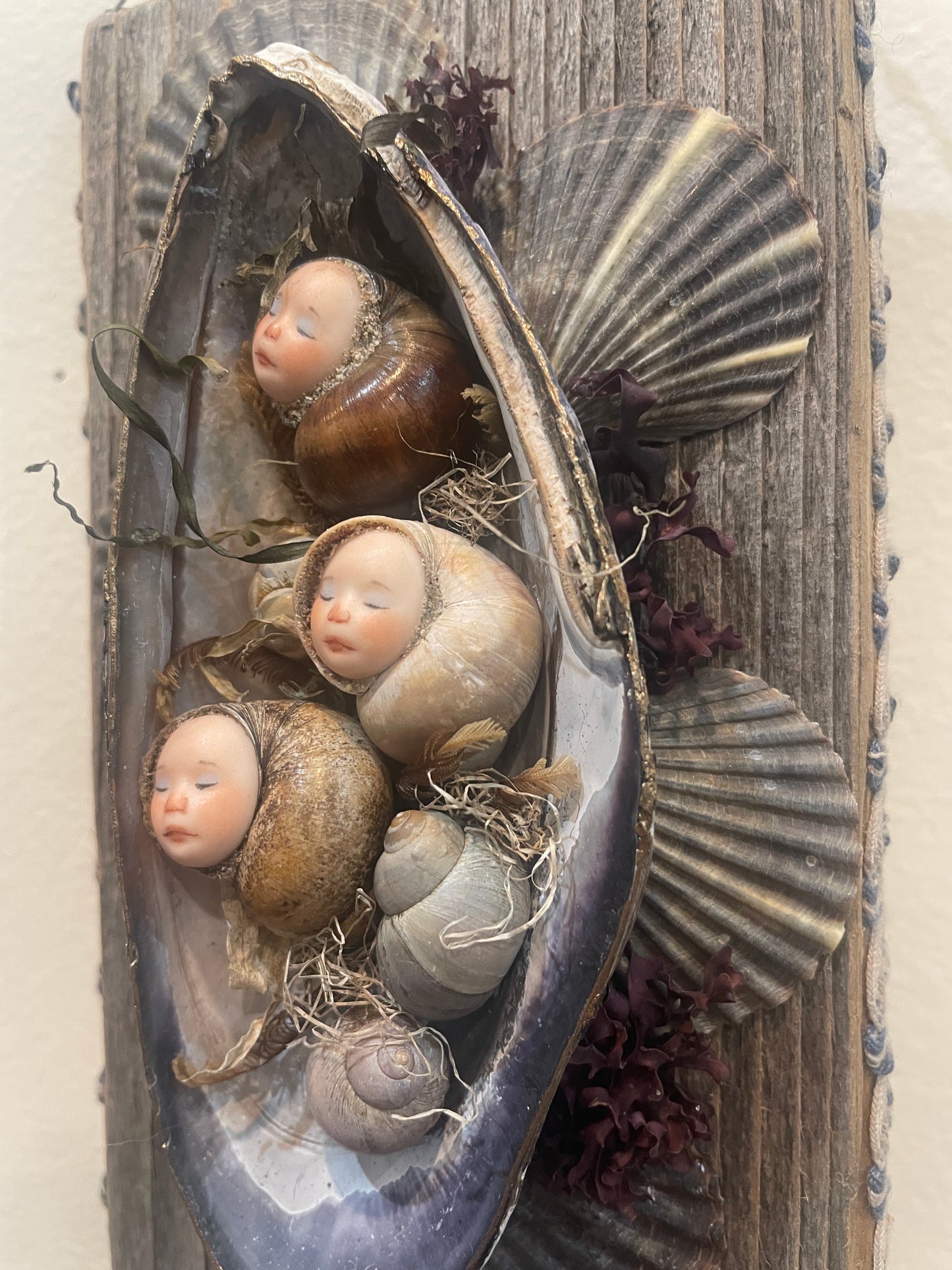 Mermaid Shell Pod Wall Hanging