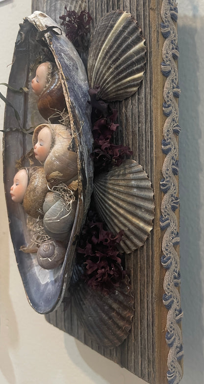 Mermaid Shell Pod Wall Hanging