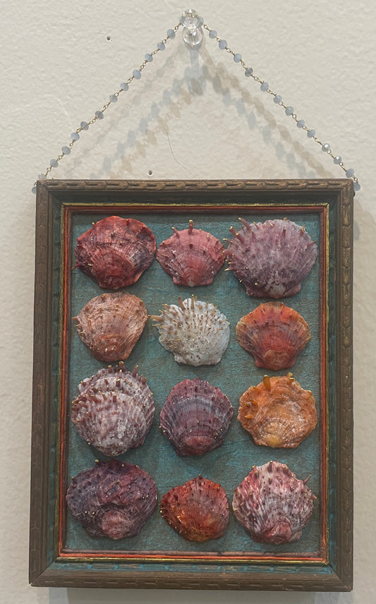 Shell Assemblage by Nancy Nelson