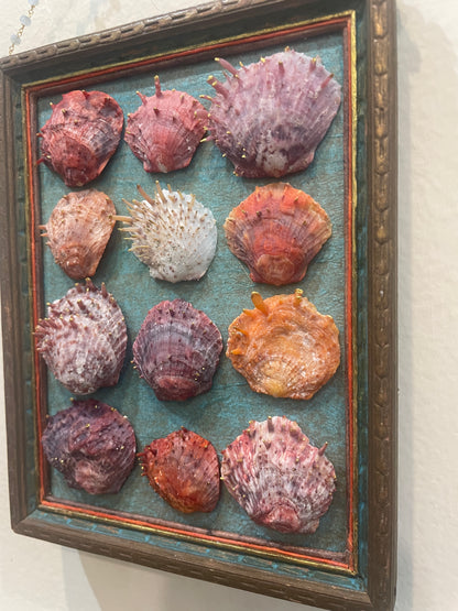 Shell Assemblage by Nancy Nelson