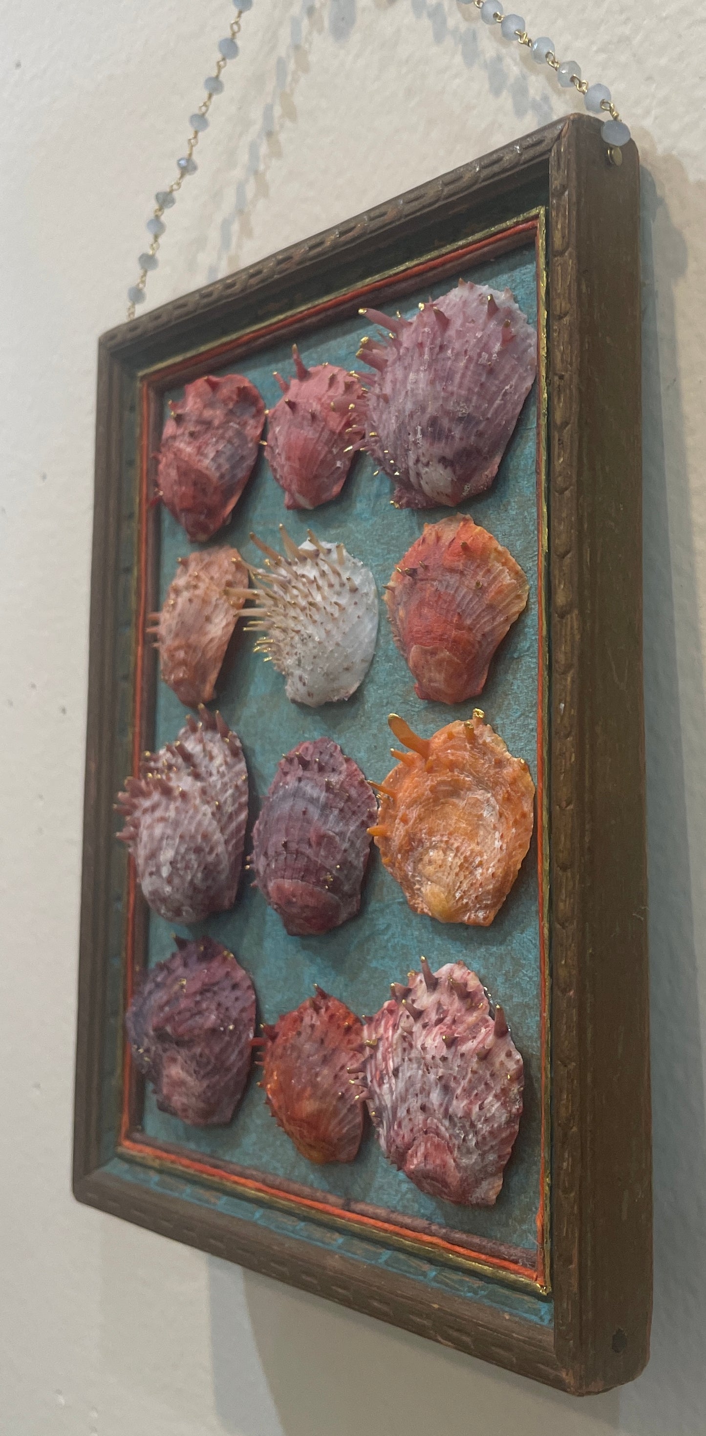 Shell Assemblage by Nancy Nelson