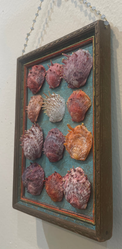 Shell Assemblage by Nancy Nelson
