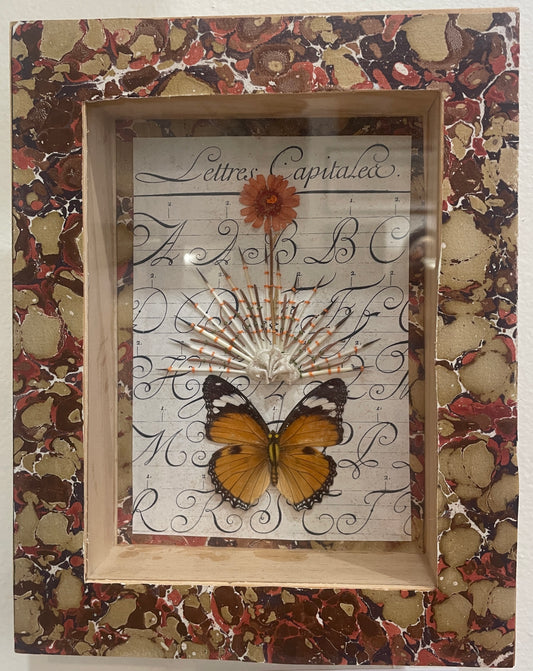 Capital Letters flora and fauna embroidery in shadow box