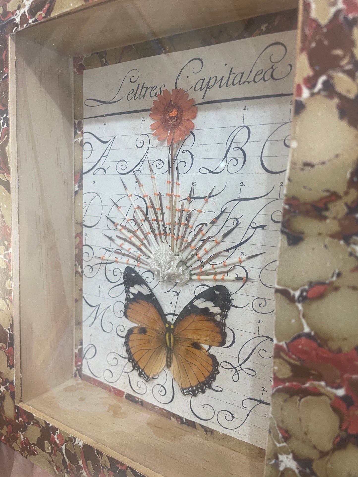 Capital Letters flora and fauna embroidery in shadow box