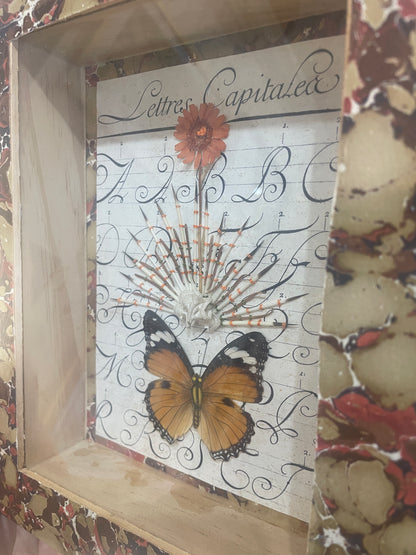 Capital Letters flora and fauna embroidery in shadow box