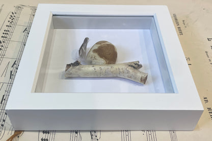 Molly by Carol Austin