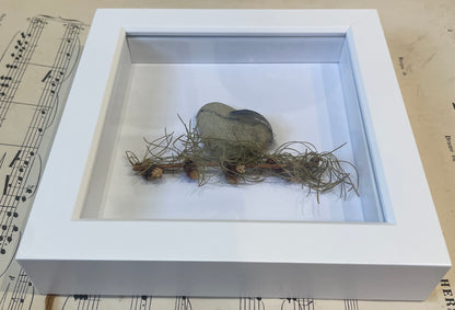 Amadeus by Carol Austin