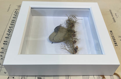 Amadeus by Carol Austin