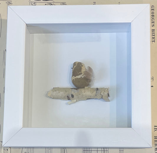 Woodrow by Carol Austin