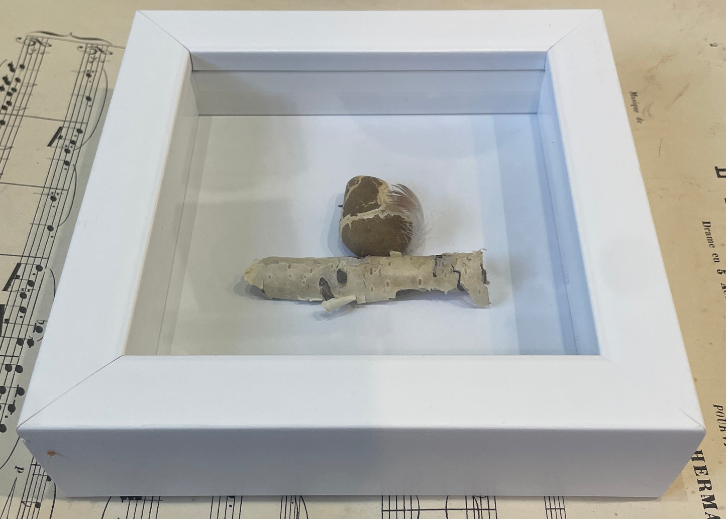 Woodrow by Carol Austin