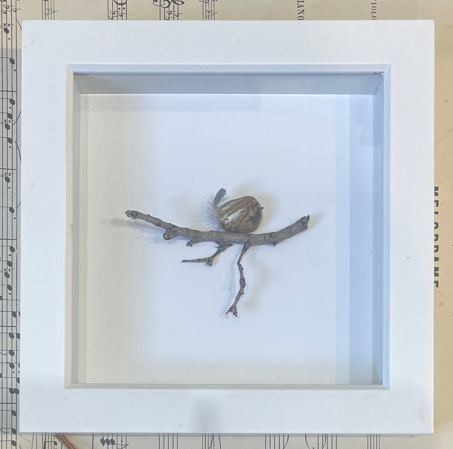 Blaine by Carol Austin