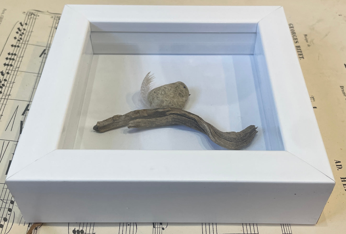 Calvin by Carol Austin