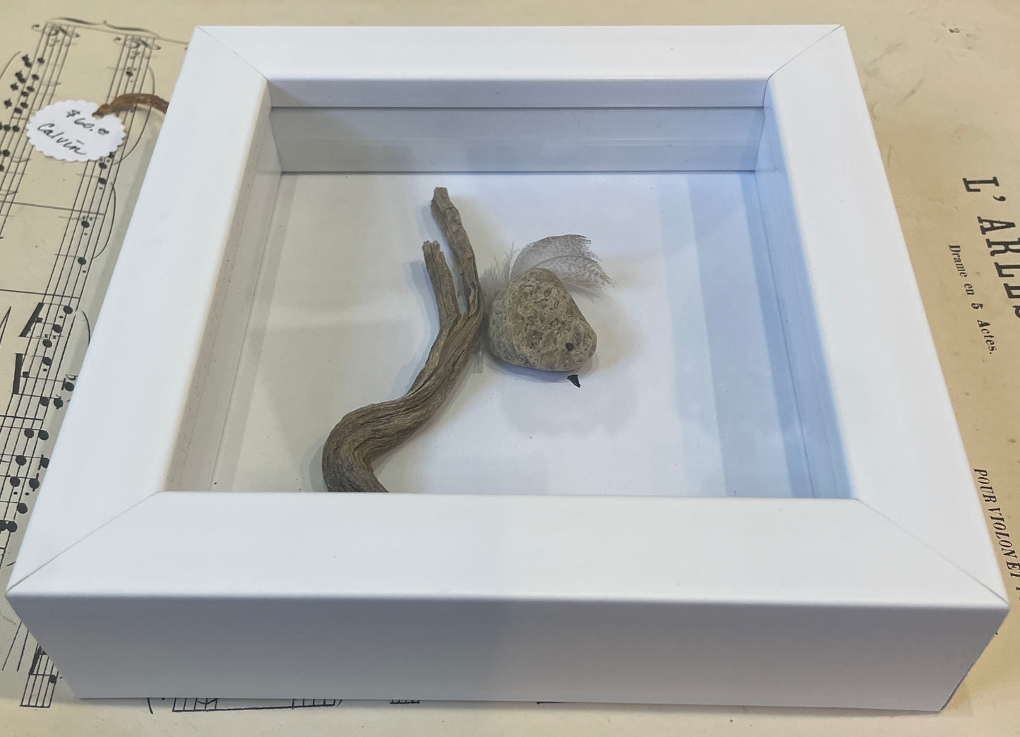 Calvin by Carol Austin