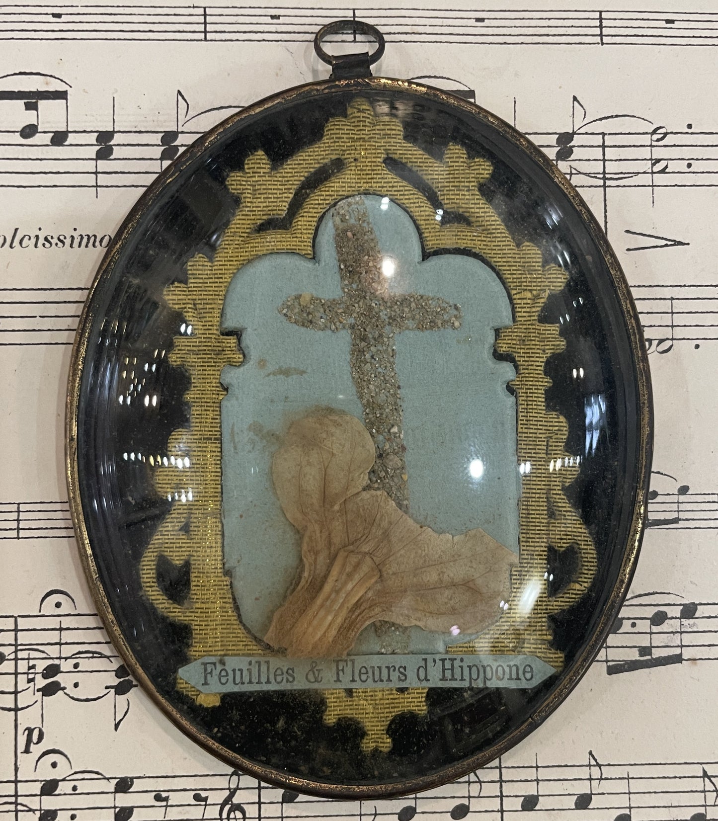 Antique French Reliquary / Ex Voto Hippo Algeria under Domed Glass c1880