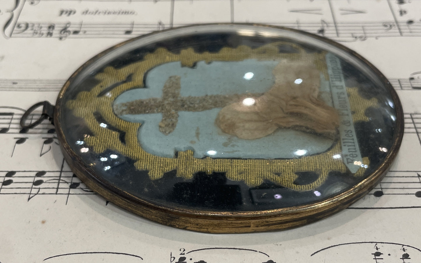 Antique French Reliquary / Ex Voto Hippo Algeria under Domed Glass c1880