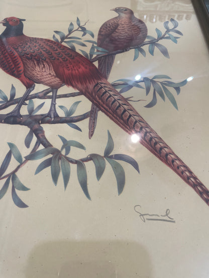 Antique French Natural History Signed Lithograph Birds Wooden Frame Glass c1920