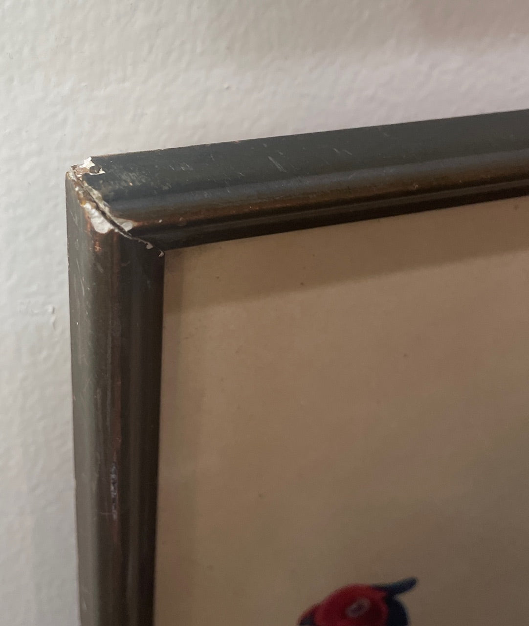 Antique French Natural History Signed Lithograph Birds Wooden Frame Glass c1920